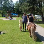 phoca_thumb_m_ponk 158 Fotogalerie